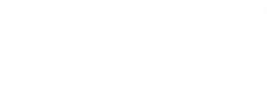 iinsight white logo