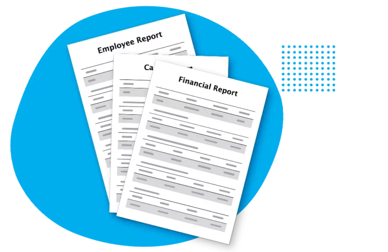 Case, Financial and Employee/KPI reports.