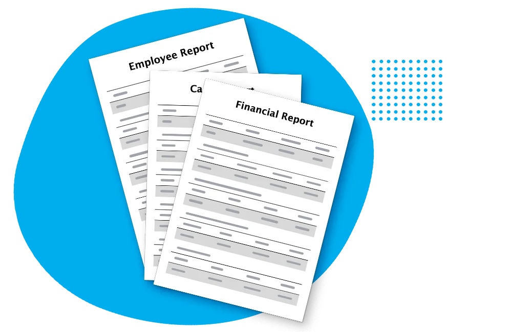 Case, Financial and Employee/KPI reports.